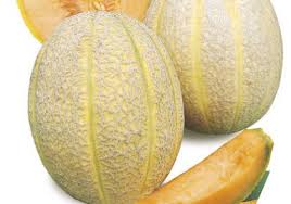 MELONE RETATO DEGLI ORTOLANI GR.50